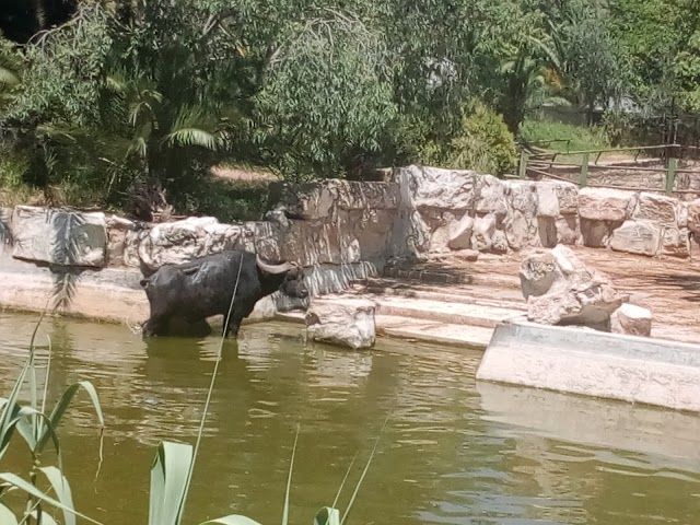 Zoo di Tunisi