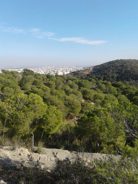 Parc Urbain Ennahli