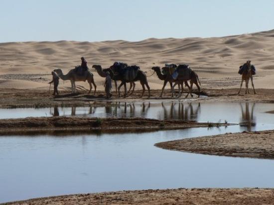 South of Tunisia