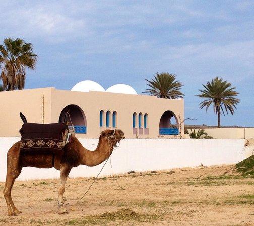Decouverte sud tunisien