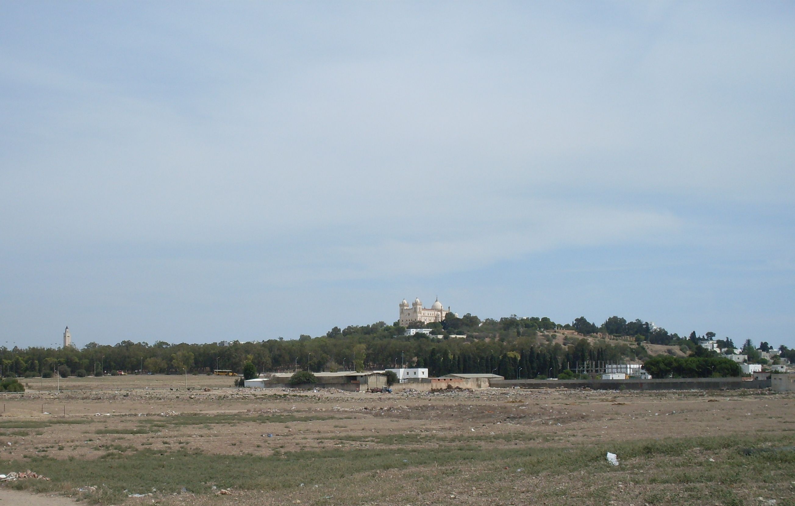 Circus of Carthage